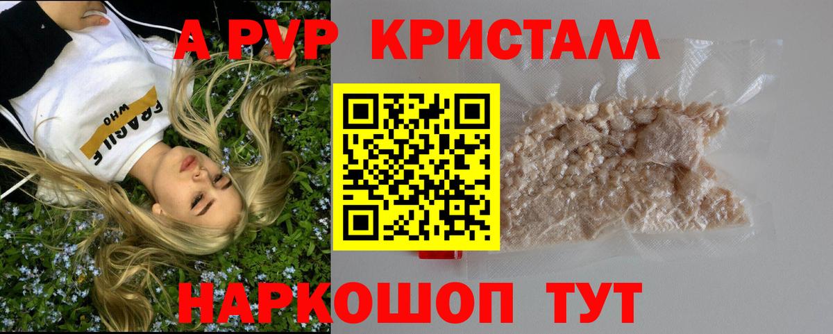 Нововоронеж  сколько стоит  Вход с VPN  Alfa_PVP СК КРИС 