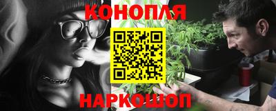 a pvp Славгород