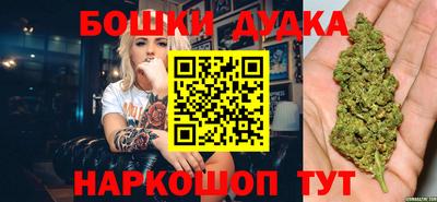 a pvp Славгород