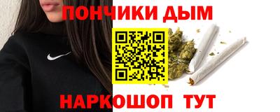 шишки Сланцы