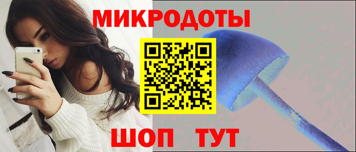 Нововоронеж  Псилоцибиновые грибы Cubensis  Вход с VPN 